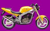 2008 AlphaSports Alpha 250 Naked photo